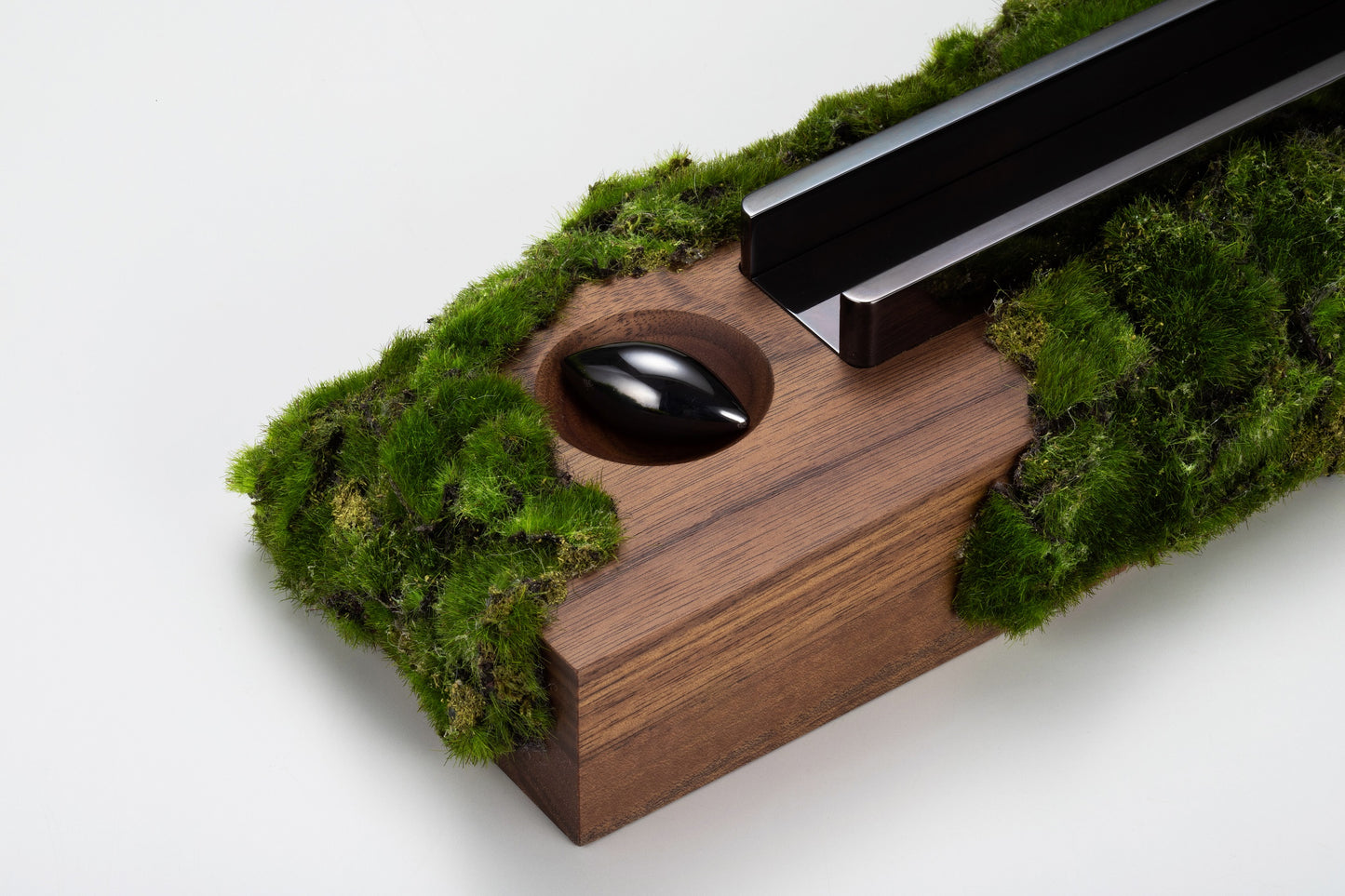 SPINDLE featuring Sakamoto / Moss series