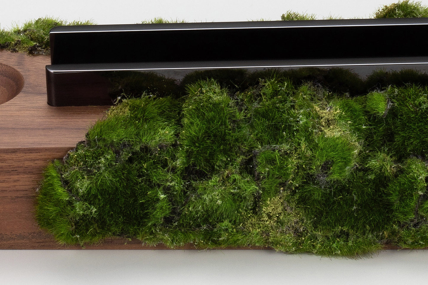 SPINDLE featuring Sakamoto / Moss series