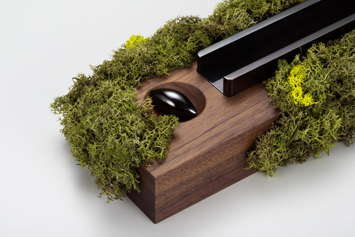SPINDLE featuring Sakamoto / Moss series