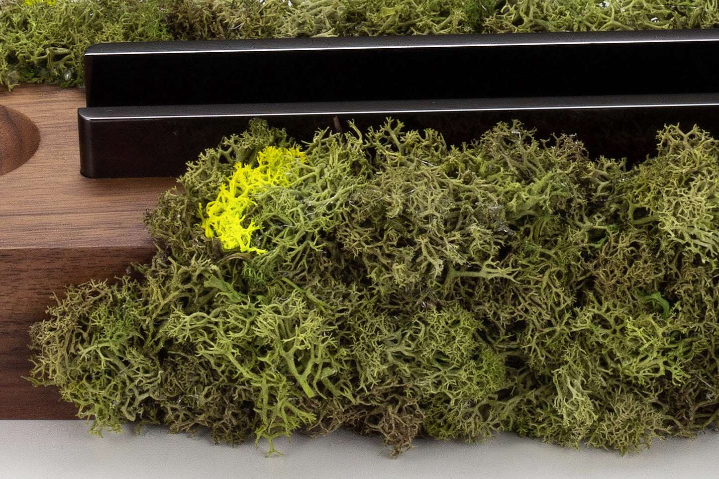 SPINDLE featuring Sakamoto / Moss series