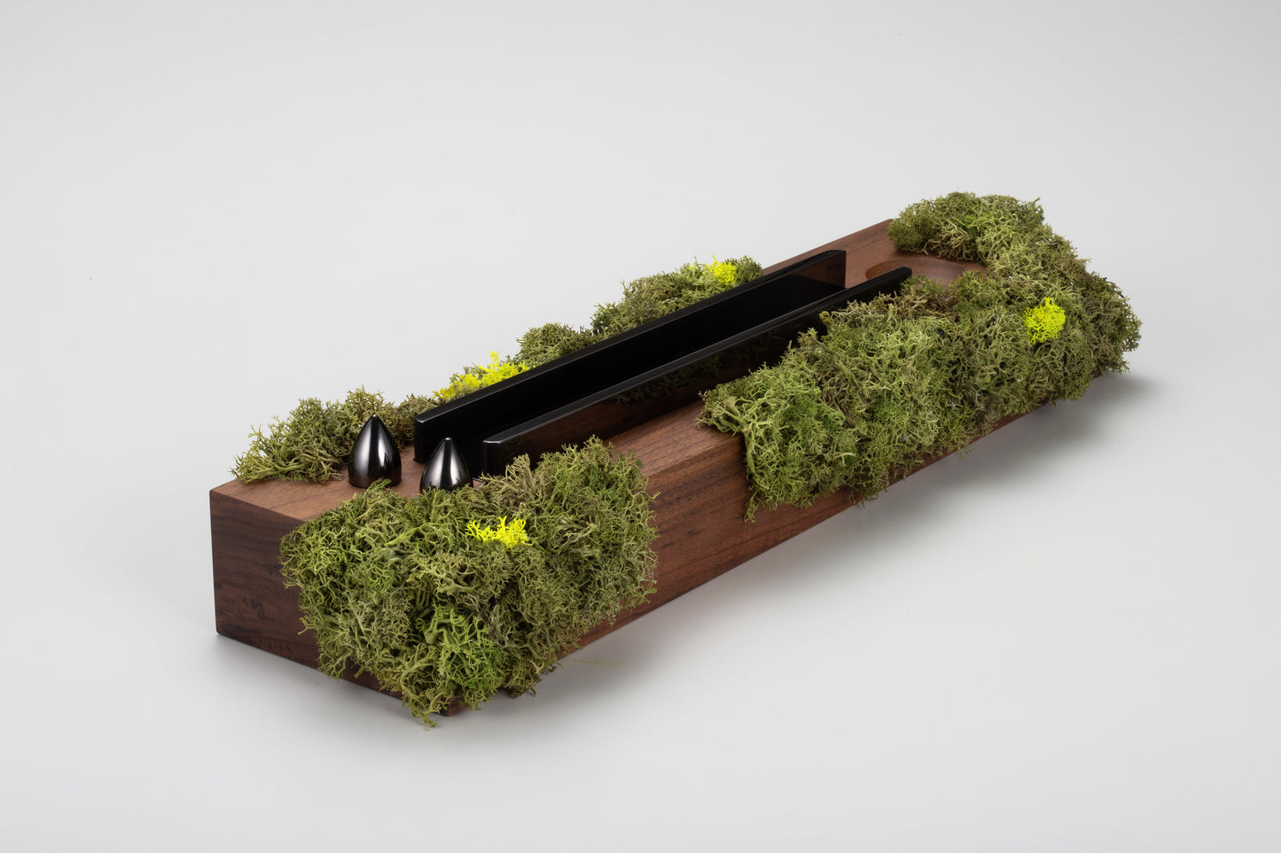 SPINDLE featuring Sakamoto / Moss series