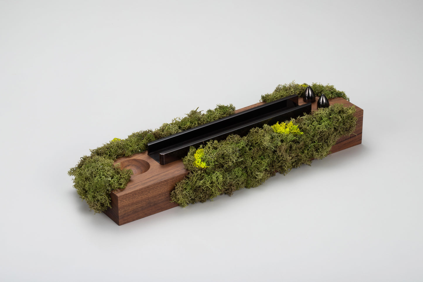 SPINDLE featuring Sakamoto / Moss series