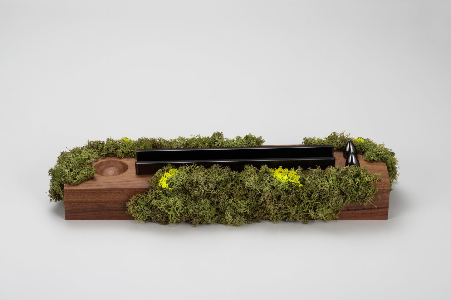 SPINDLE featuring Sakamoto / Moss series